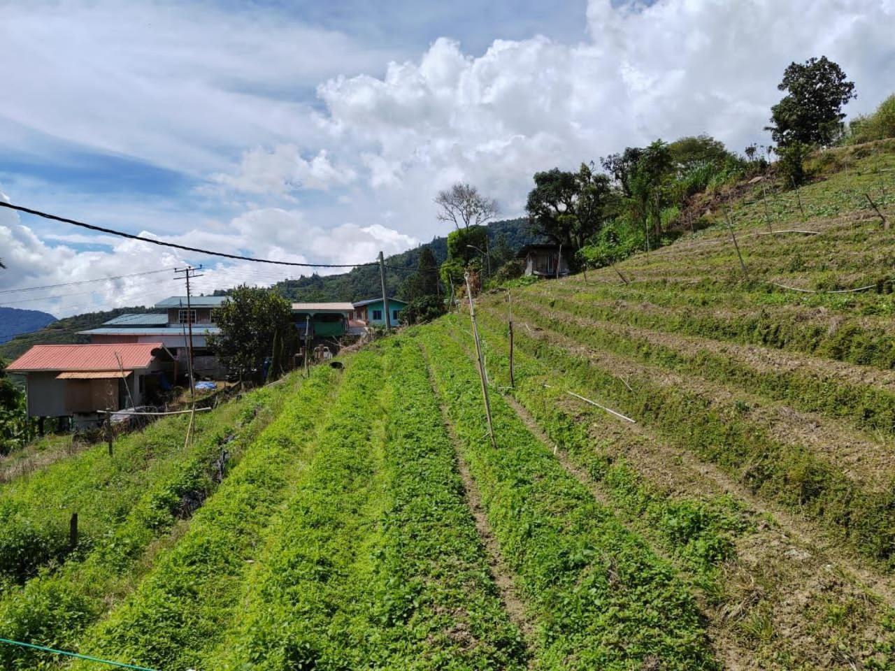Kundasang Mount Garden ภายนอก รูปภาพ